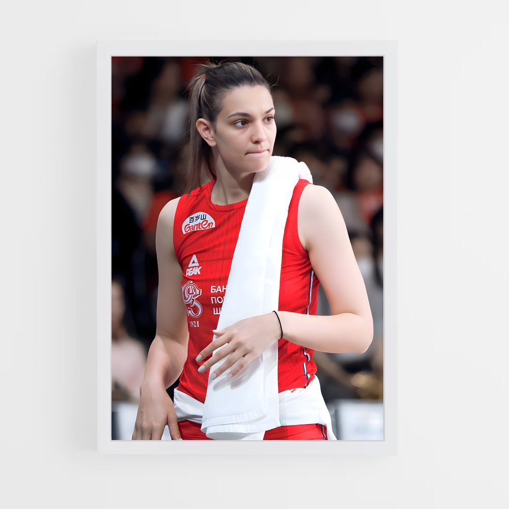 Poster Serbia de national – affiche Volleyball (vue 3)